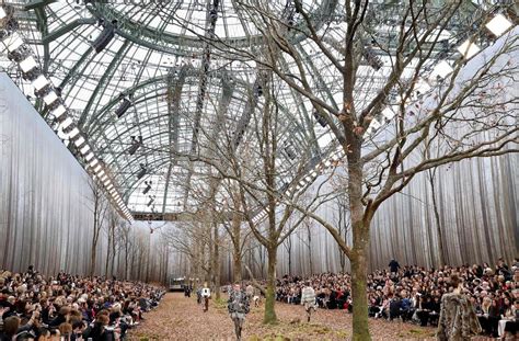 défilé chanel arbres|Chanel abat des dizaines d'arbres pour un défilé : «C’est un .